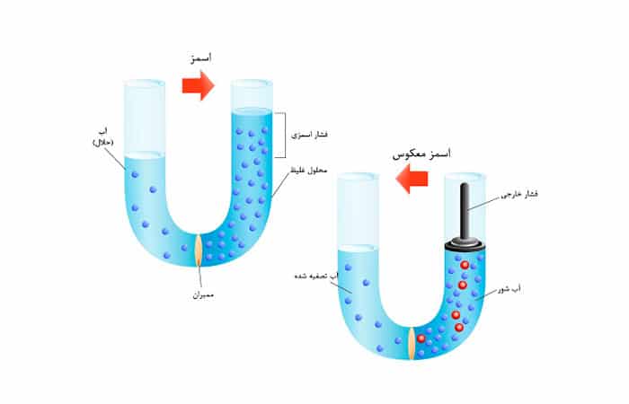 فیلم اسمز معکوس